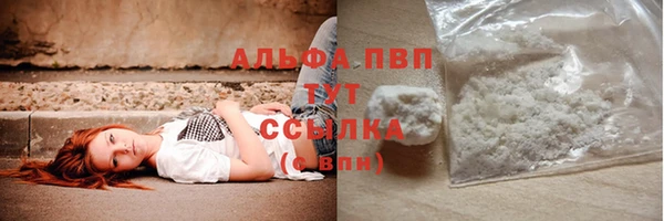 молекула духа Алексеевка