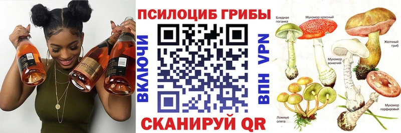 МЕГА как зайти  Рубцовск  Галлюциногенные грибы Psilocybe  где найти наркотики 