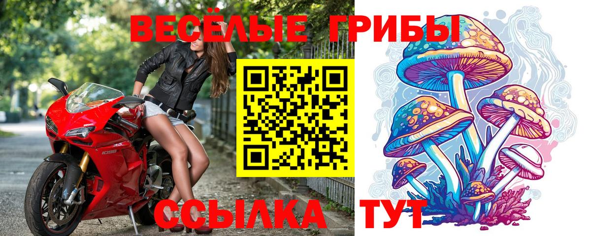 Галлюциногенные грибы MAGIC MUSHROOMS  Галлюциногенные грибы Psilocybine cubensis  Рубцовск  Вход с VPN 
